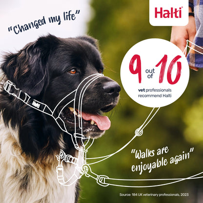 Halti Train Headcollar Desert Sand