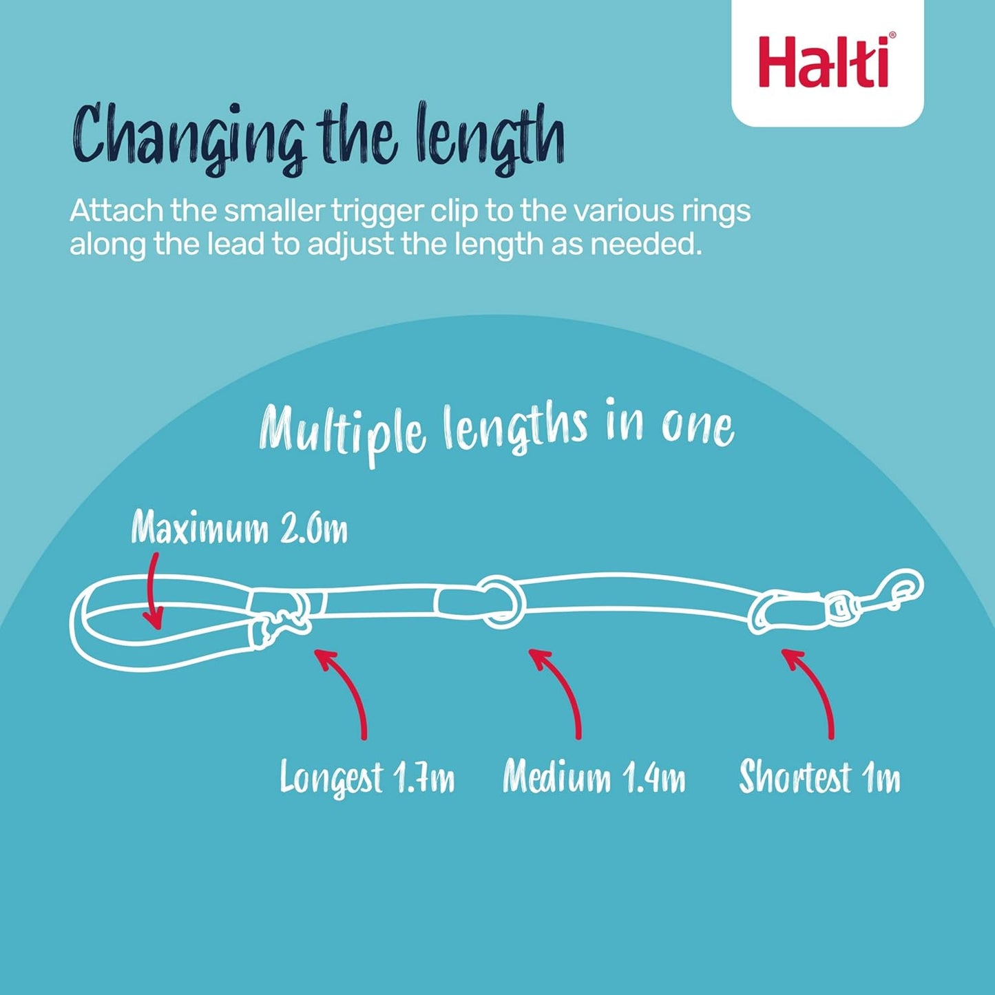 Halti Train Training Lead Cobalt Blue