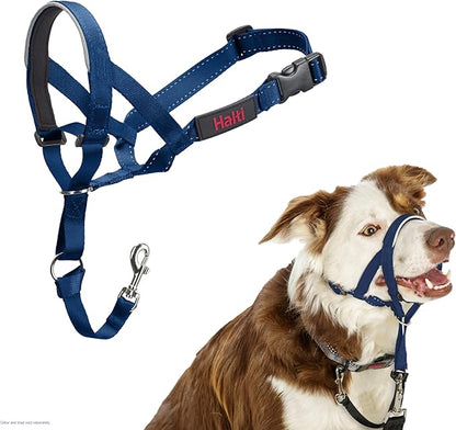 Halti Train Headcollar Cobalt Blue