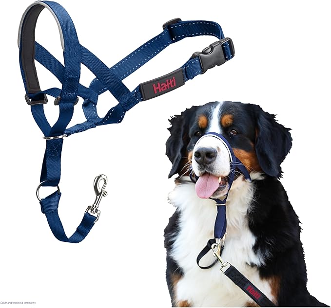 Halti Train Headcollar Cobalt Blue