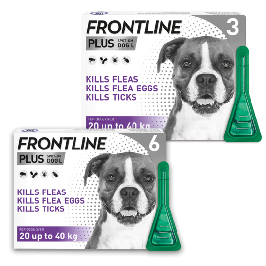 Frontline Plus Large Dog (20-40kg) Pipettes