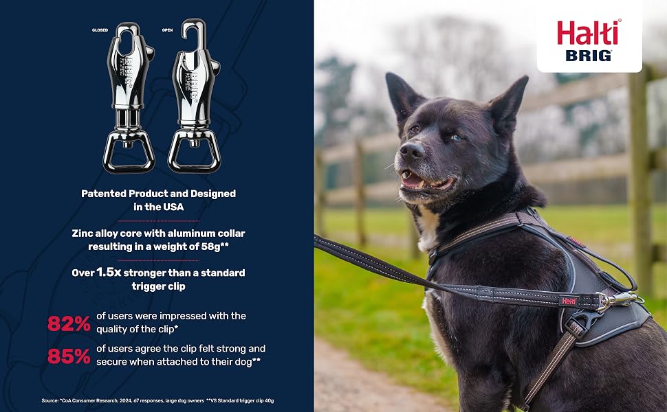 Halti BRIG Safety Dog Lead Black