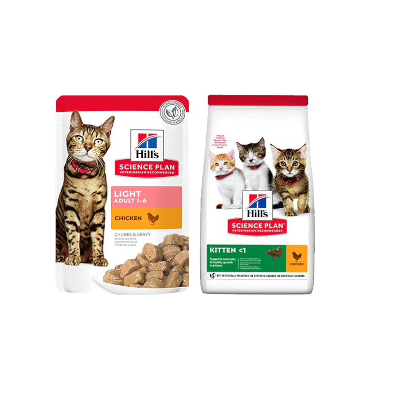 Medical cat food best sale