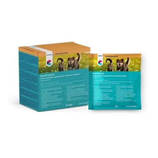 CVET Oral Rehydration Sachets