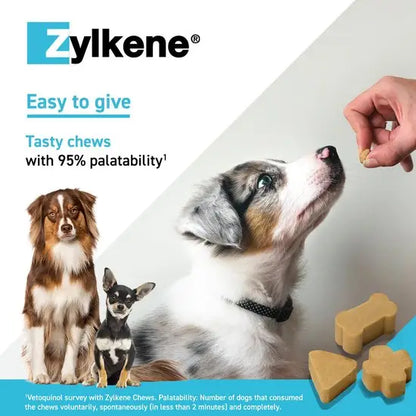 Zylkene® Calming Chews for Dogs