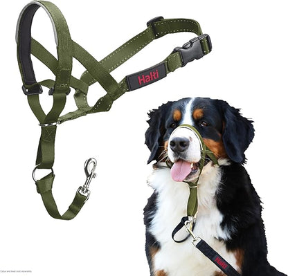 Halti Train Headcollar Forest Green