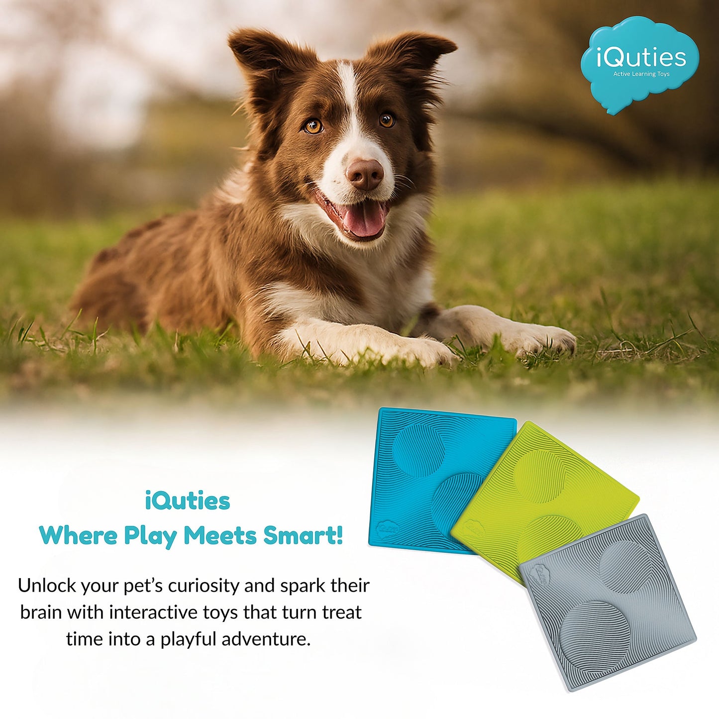 iQuties Lick/Treat Non-Slip Pet Mat