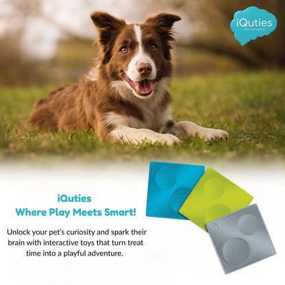 iQuties Lick/Treat Non-Slip Pet Mat