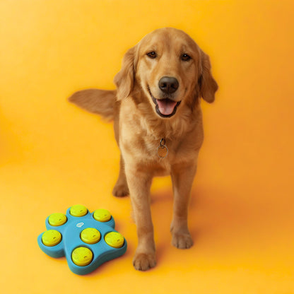 iQuties Paw Hide Interactive Treat Dispenser Dog Toy