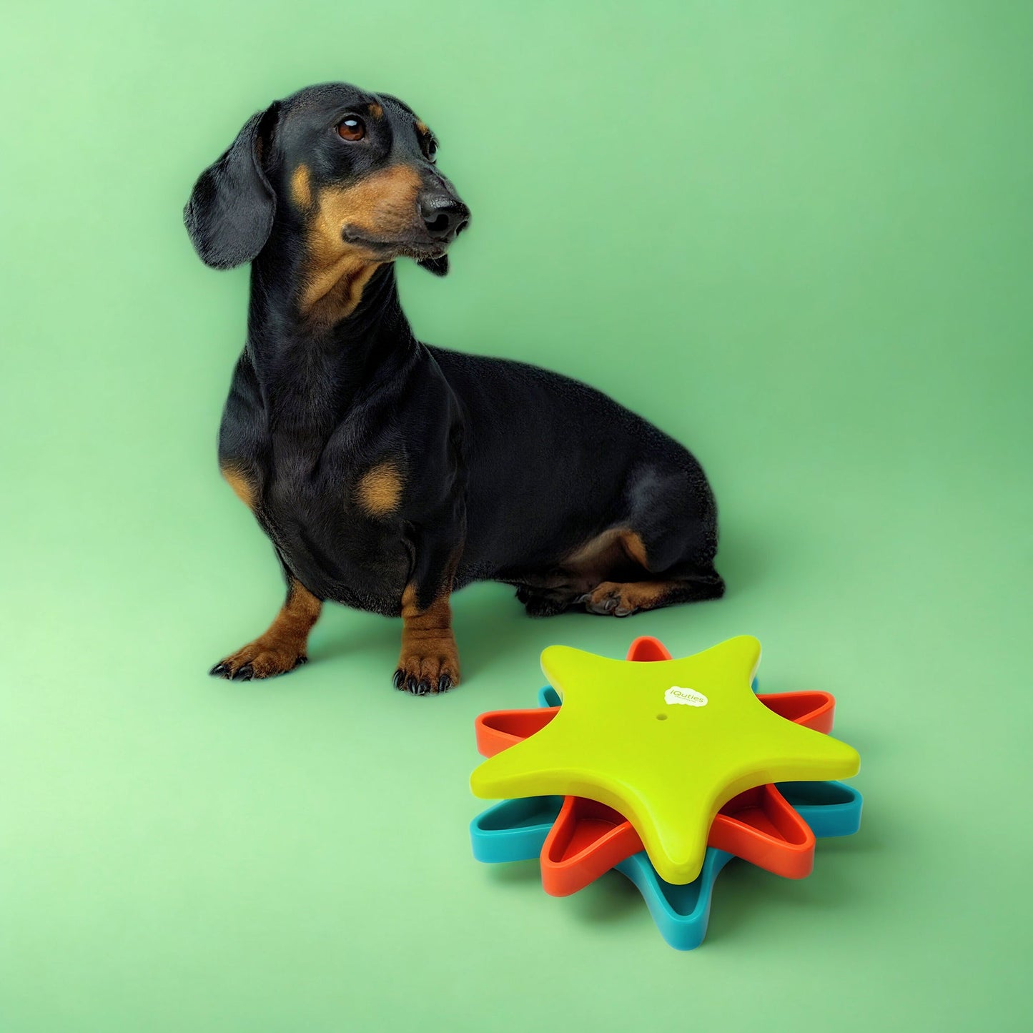 iQuties Twister Interactive Puzzle Treat Dispenser Dog Toy