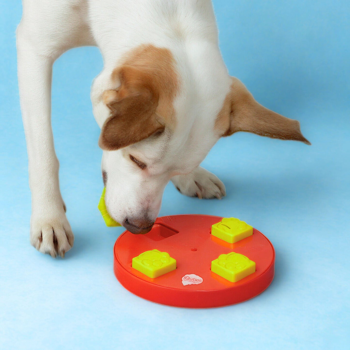 iQuties Wheel Interactive Puzzle Treat Dispenser Dog Toy