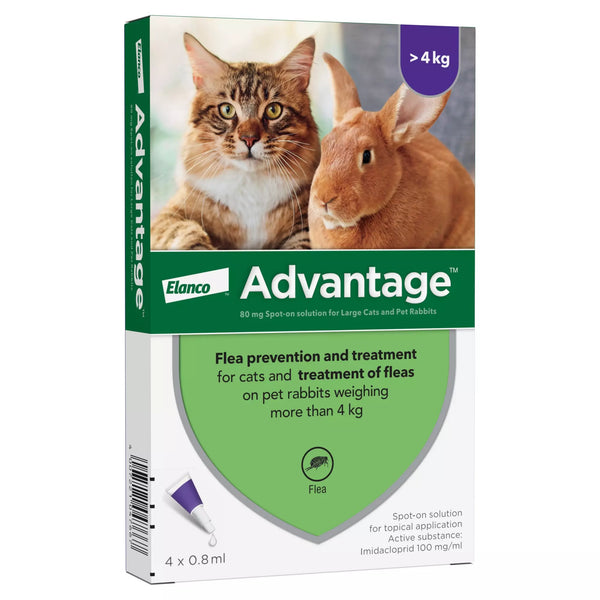 Advantage 80 Chat / Lapin Bayer® : Pipettes Anti-puces | Zoo Santé - Foto 4