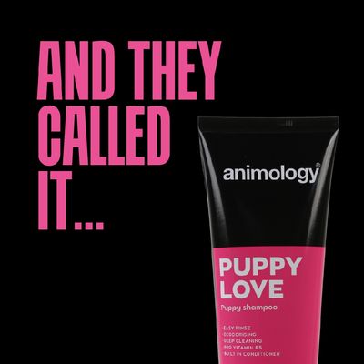 Animology Puppy Love