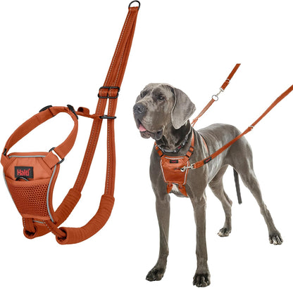 Halti Train No Pull Harness Burnt Orange