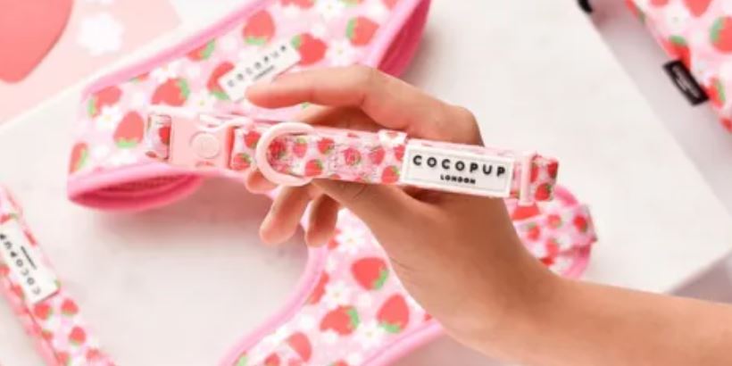 Cocopup Pupberry Fields Dog Collar