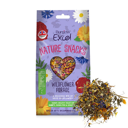 Burgess Excel Nature Snacks Wildflower Forage