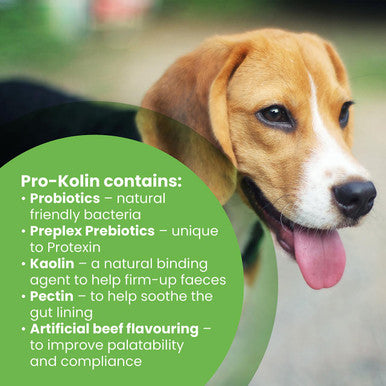 Protexin Pro Kolin Probiotic Paste for Dog Cat