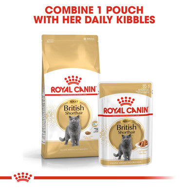 Royal canin best sale official website