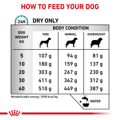 Royal Canin Skin Care Adult Dry Dog Food Medic Animal MedicAnimal