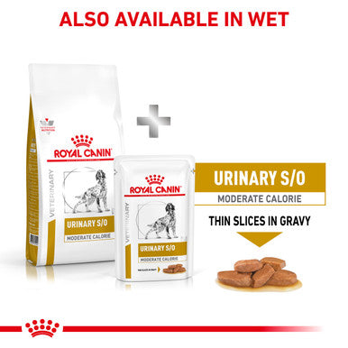 Royal Canin Urinary SO Moderate Calorie Adult Dry Dog Food