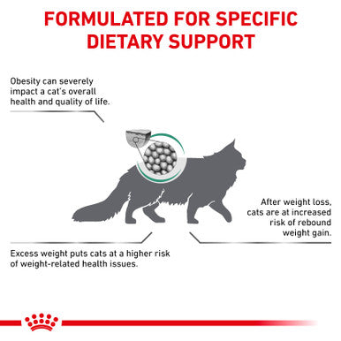 Royal canin cat weight 2024 loss