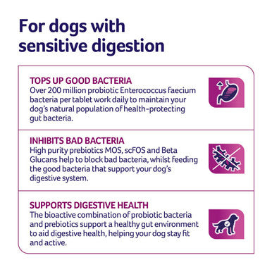 YuMOVE Digestive Care Dog Supplement Tablets
