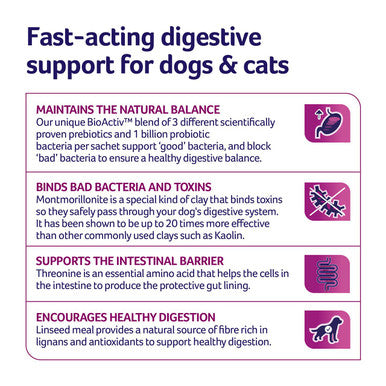 YuMOVE Digestive Care Plus Dog Supplement