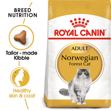 Royal Canin Bread Norwegian Forest Adult Dry Cat Food