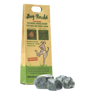Dog Rocks Lawn Protection