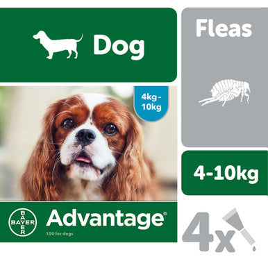Advantage 100 Spot On Dog Flea Treatment for Dogs