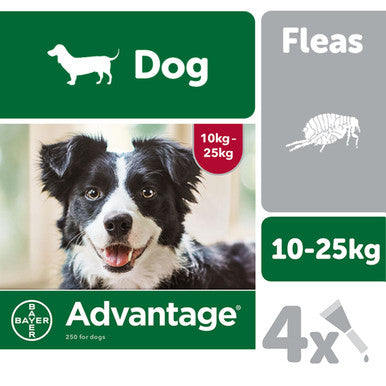 Advantage 250 Spot On Dog Flea Treatment for Dogs