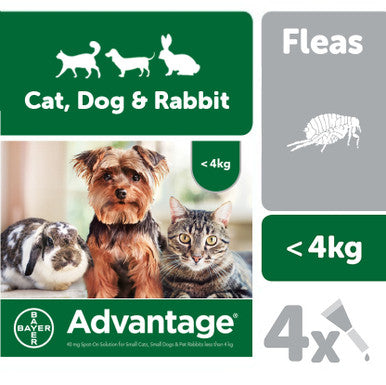 Advantage 40 for Small Cat Dog Rabbits Up to 4kg