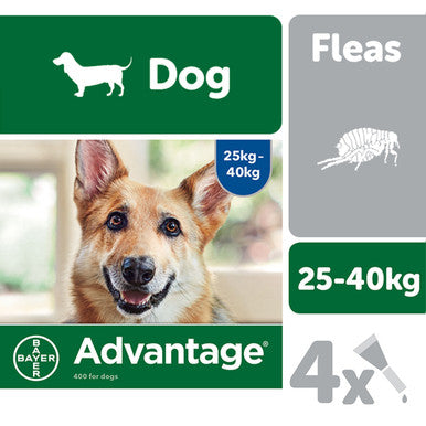 Advantage 400 Spot On Dog Flea Treatment for Dogs 4 Pipettes