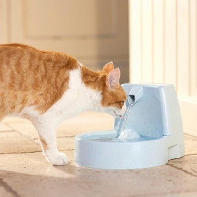 Drinkwell Original Pet Fountain for Cat Dog