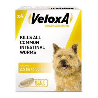 Veloxa Chewable Worming Tablets for Dogs (1 tablet per 10kg)
