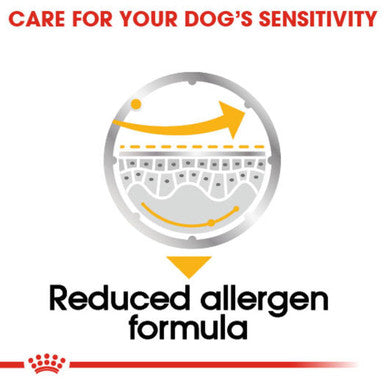 Royal Canin Dermacomfort Care Adult Wet Dog Food