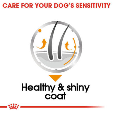 Royal Canin Coat Care Adult Wet Dog Food