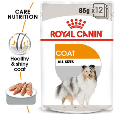 Royal Canin Coat Care Adult Wet Dog Food