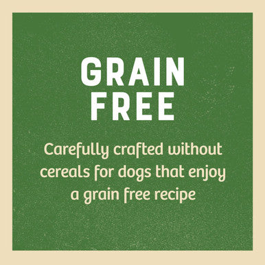 James Wellbeloved Grain Free Puppy Wet Dog Food Pouches Turkey in Gravy