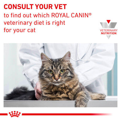 Royal Canin Vet Diet Cat GastroInt Hairball