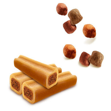 Pedigree Tasty Minis Jumbone Small Adult Dog Treats Mega Box