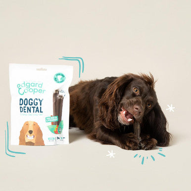 Edgard Cooper Apple Eucalyptus Medium Doggy Dental Treat
