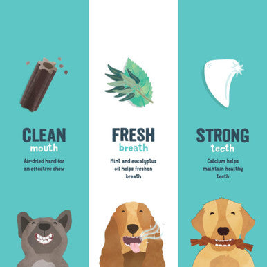 Edgard Cooper Apple Eucalyptus Medium Doggy Dental Treat