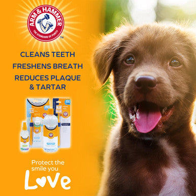 Arm & hammer dog toothpaste hotsell