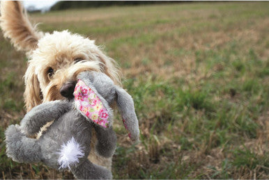 Buster Beau Barkley Bunny Dog Toy