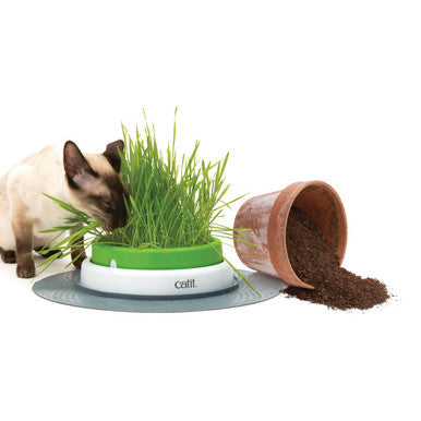 Catit Senses 20 Grass Planter Cat Toy