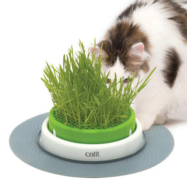 Catit Senses 20 Grass Planter Cat Toy