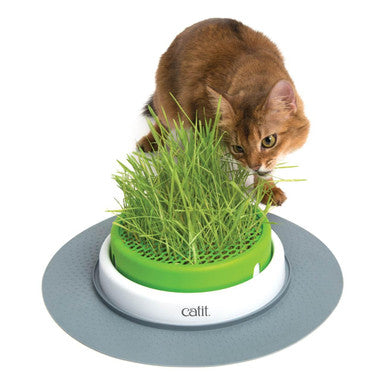 Senses 2.0 Grass Planter Cat Toy