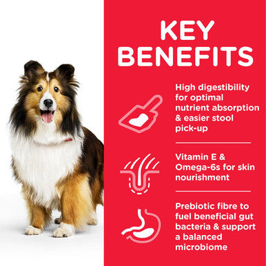 Hill's science plan canine sensitive stomach hot sale & skin