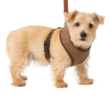 House of Paws Memory Foam Brown Dog Harness